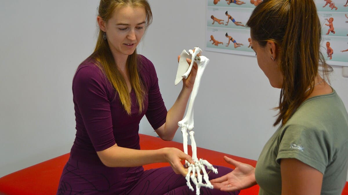 diagnostika s modelem kostry horní končetiny